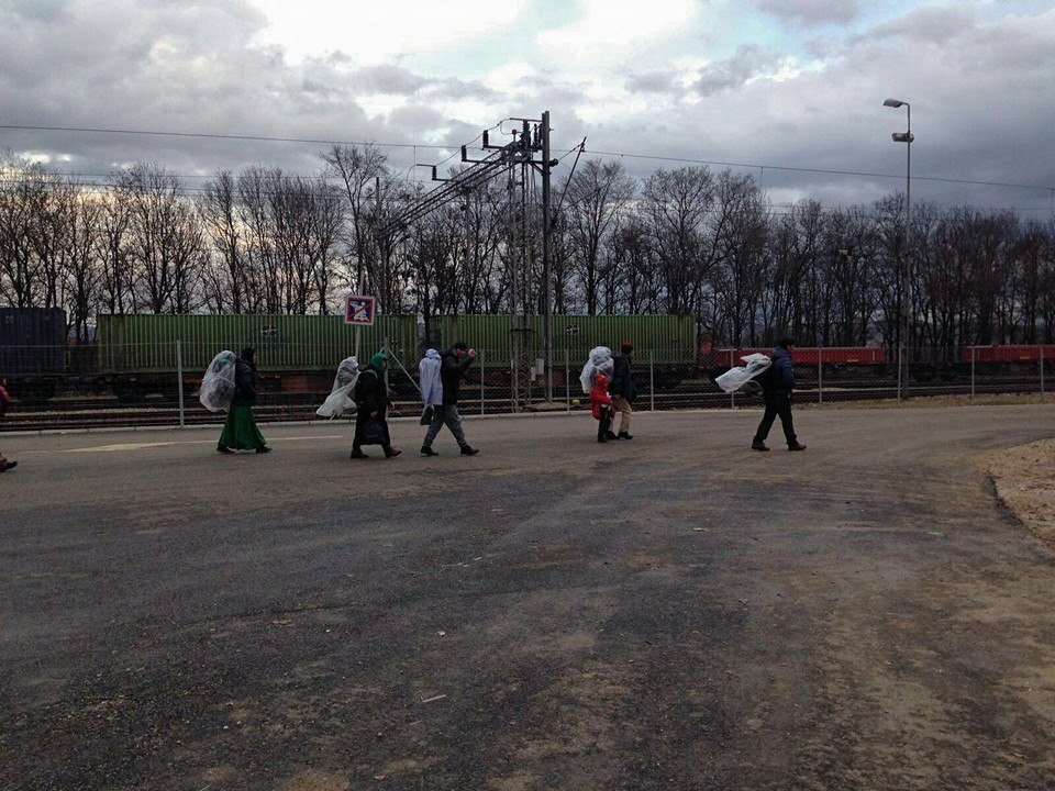 12715558_1298511350166193_3258258785851008732_n