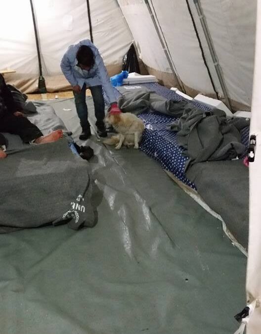 Projekt Presevo – Flüchtlinge sind Menschen